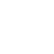 icons8-mostra-password-100-1