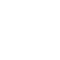 icons8-protezione-selezionata-100