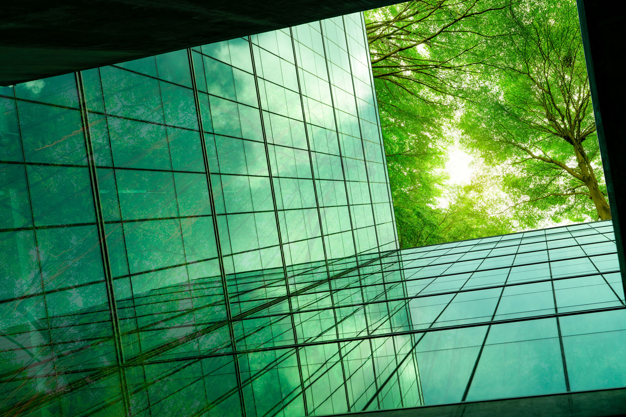 Standard ISO 14001